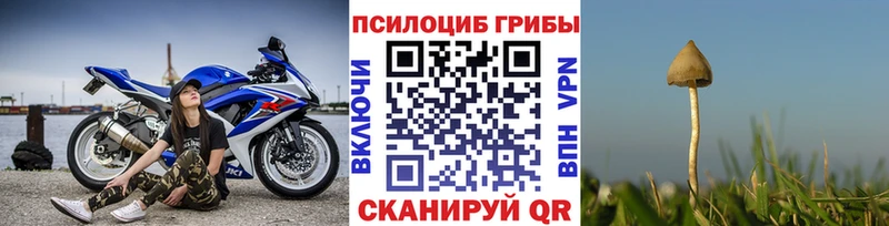 Купить  Стрежевой  Псилоцибиновые грибы MAGIC MUSHROOMS 